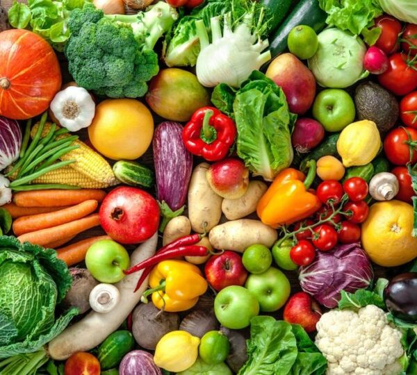 The organic food & sustainable dining for you